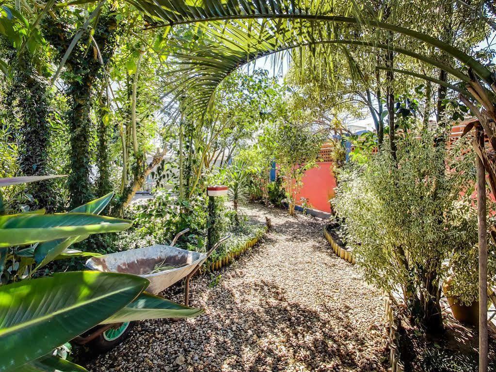 Casa Deixa-O-Resto Guesthouse Santo Andre Ngoại thất bức ảnh